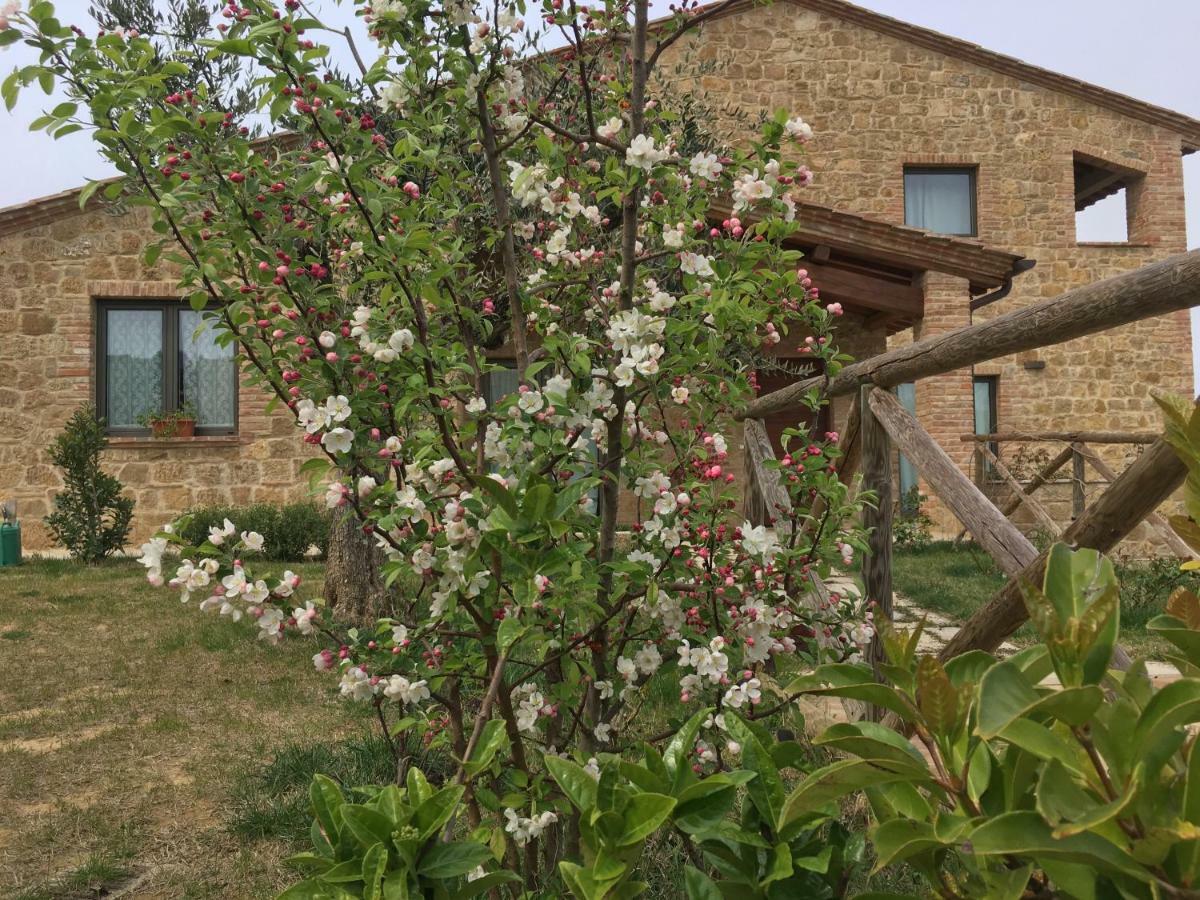 Residenza Al Poggio Degli Ulivi Villa Montepulciano Stazione Buitenkant foto